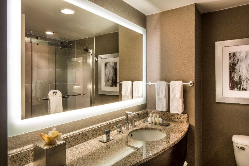 DoubleTree by Hilton Hotel Largo/Washington DC 2