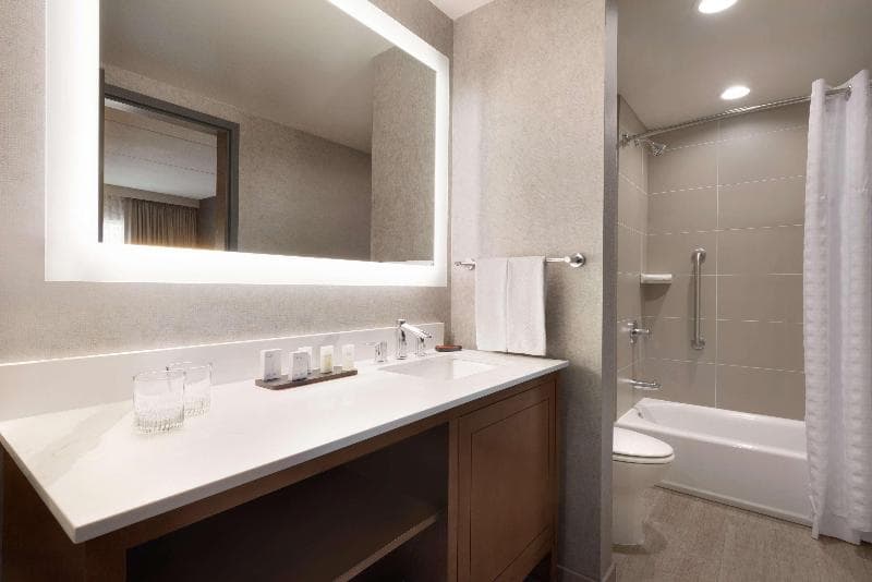 Embassy Suites by Hilton Chicago Naperville 2