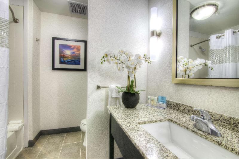 Hampton Inn Houston I-10 East 3