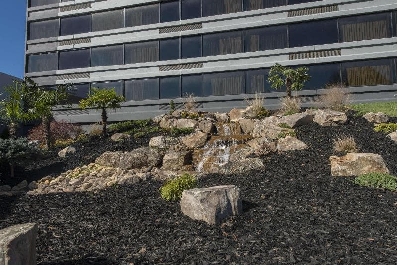 DoubleTree by Hilton Winston Salem - University 4