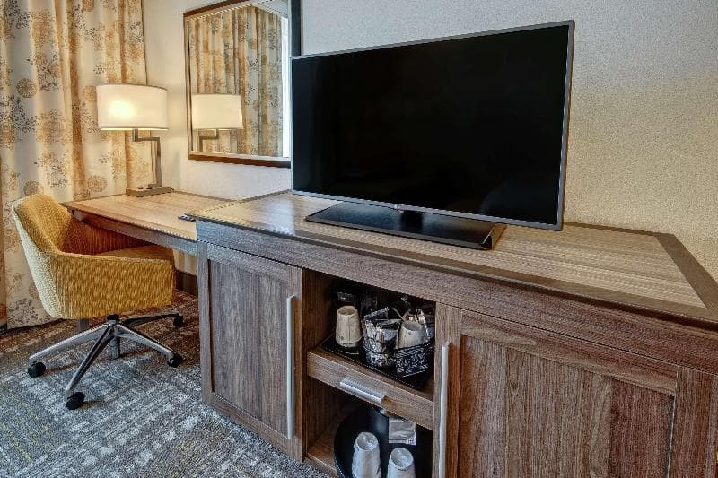 Hampton Inn & Suites Minneapolis/Downtown, MN 4