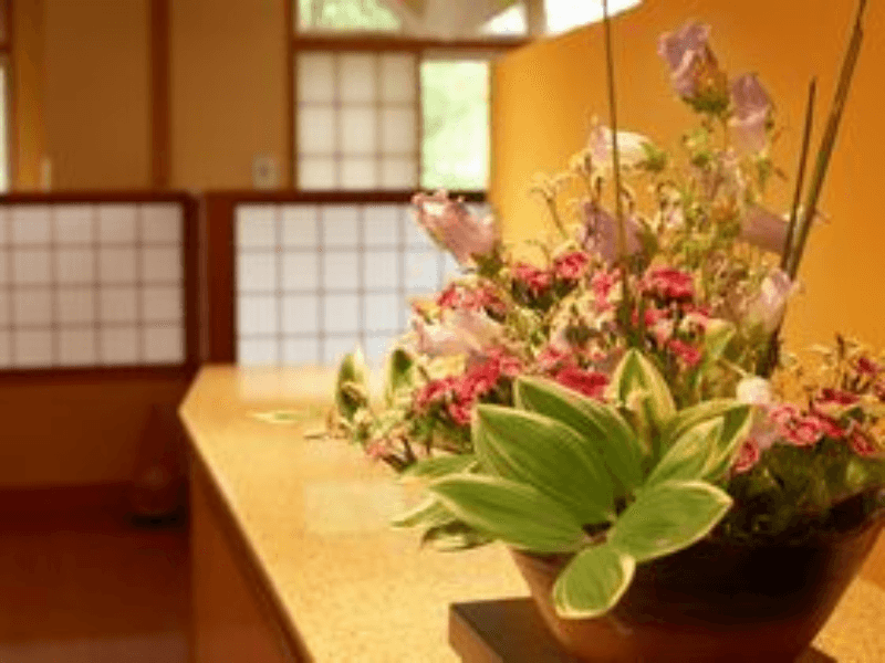 Satorikan photo 1