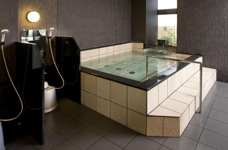 Niigata Daiichi Hotel 1
