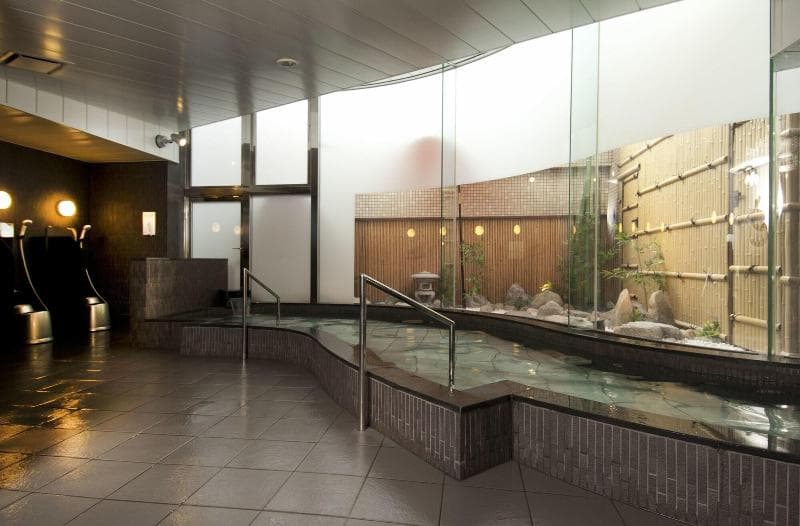 Niigata Daiichi Hotel 5