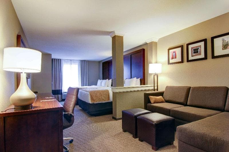 Comfort Suites Carlsbad 4