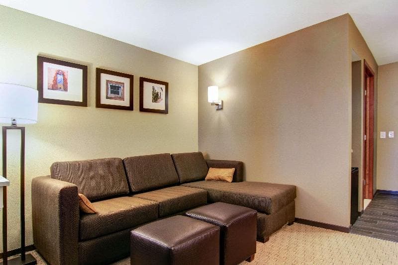 Comfort Suites Carlsbad 5