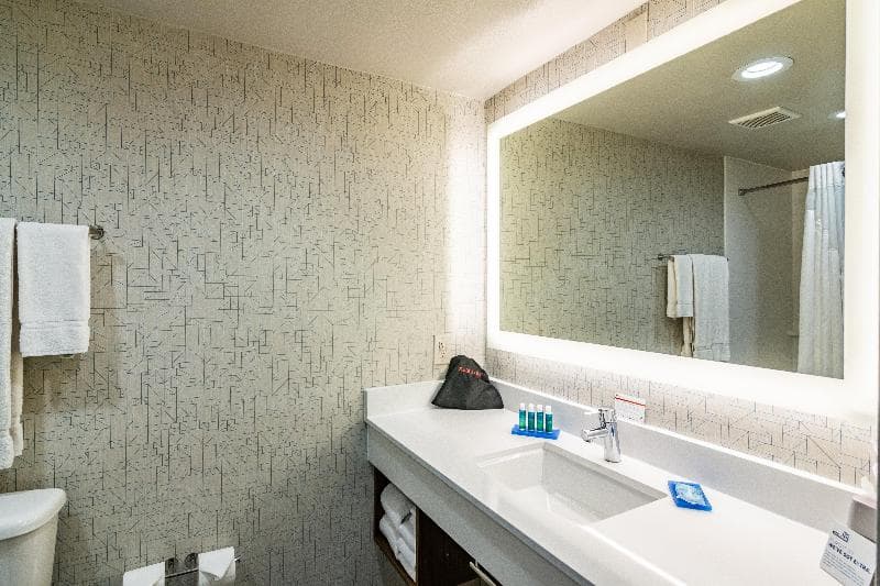 Holiday Inn Express & Suites Camarillo 5