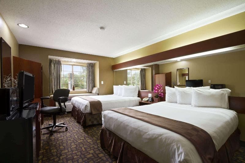 Microtel Inn & Suites By Wyndham Lithonia/Stone Mountain 3