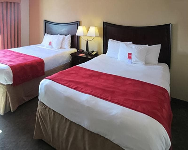 Comfort Inn & Suites 3