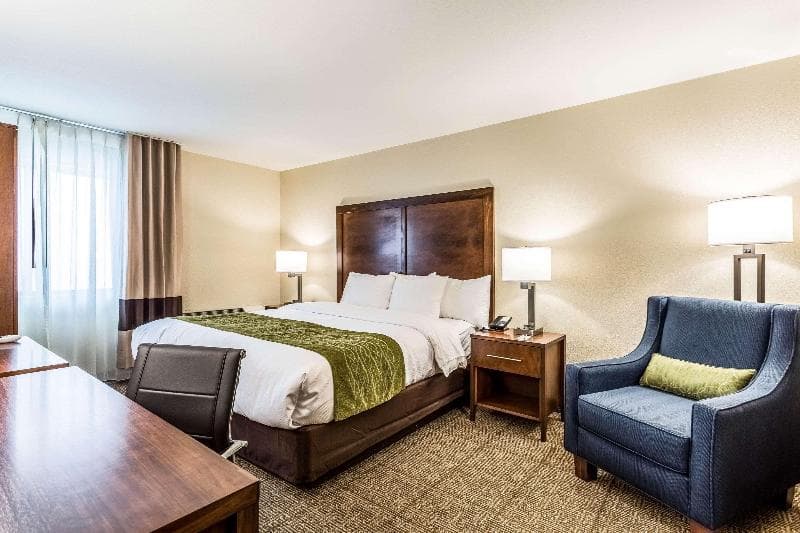 Comfort Inn & Suites Albuquerque Downtown photo 1