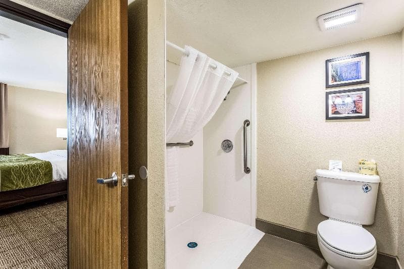 Comfort Inn & Suites Albuquerque Downtown 4
