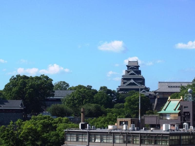 Kumamoto Green 3