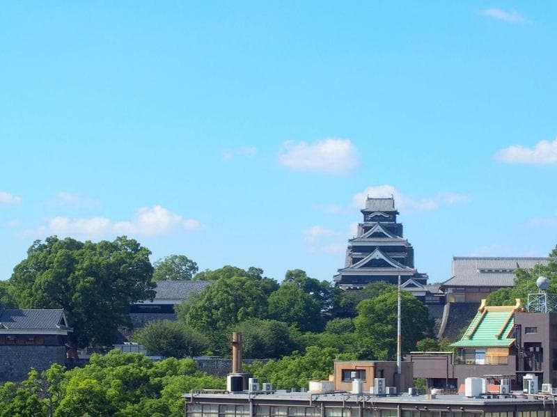 Kumamoto Green 5