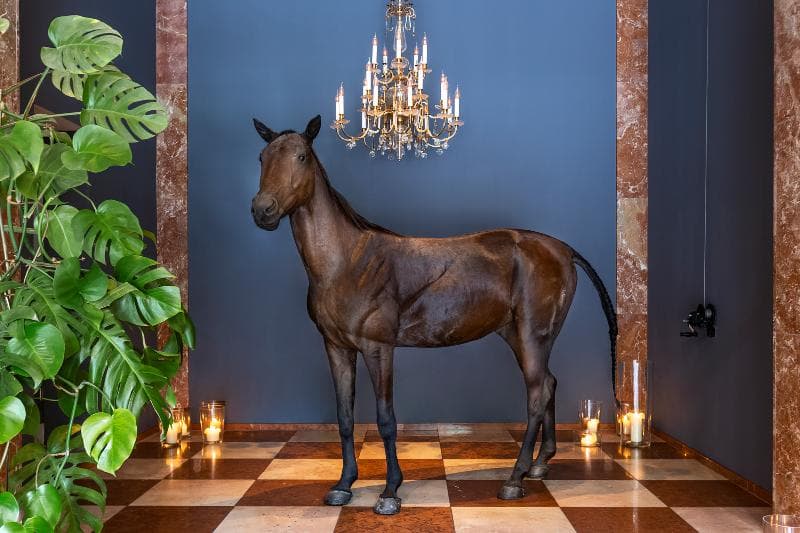Grand Ferdinand Hotel 4