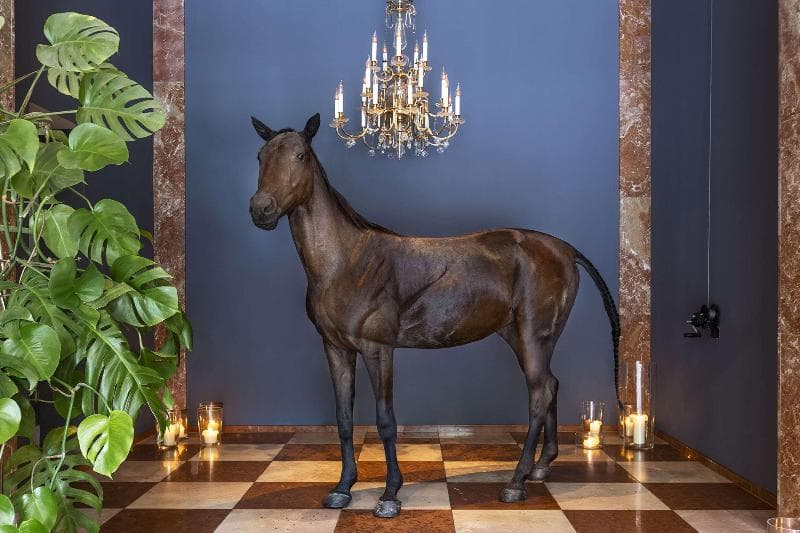 Grand Ferdinand Hotel 2