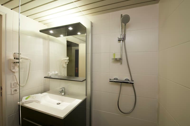 Brit Hotel Du Lac 4