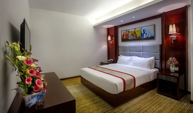 Hotel Bengal Blueberry 4