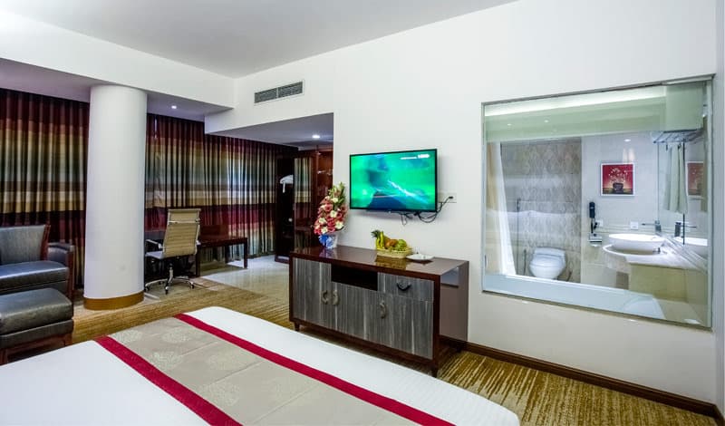 Hotel Bengal Blueberry 5