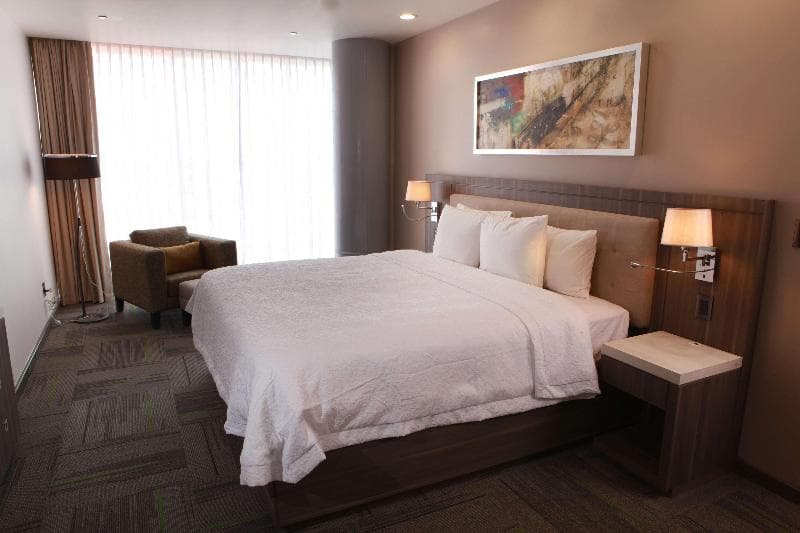 Hampton Inn & Suites By Hilton Aguascalientes Airport 5