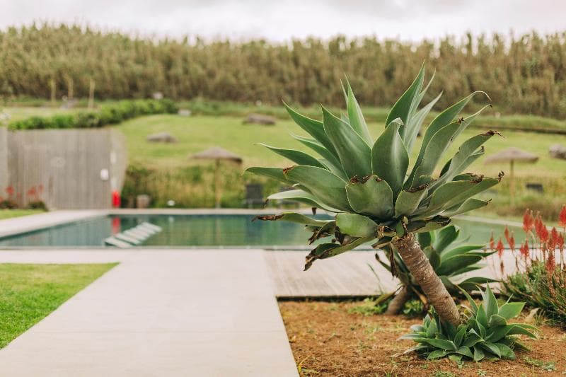 Santa Barbara Eco Beach Resort 3