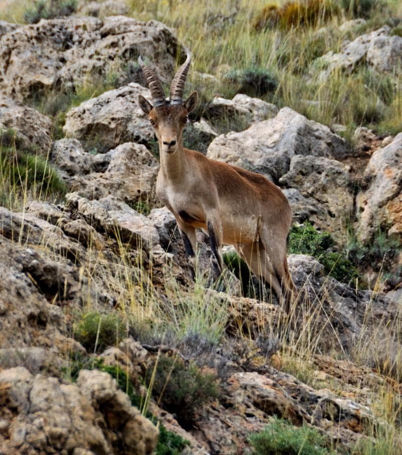 Aptos. Rurales Sierra De Gudar 5