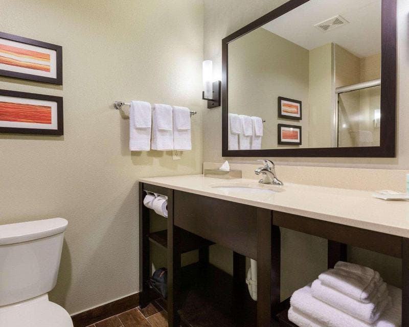Comfort Suites Near Westchase On Beltway 8 photo 1