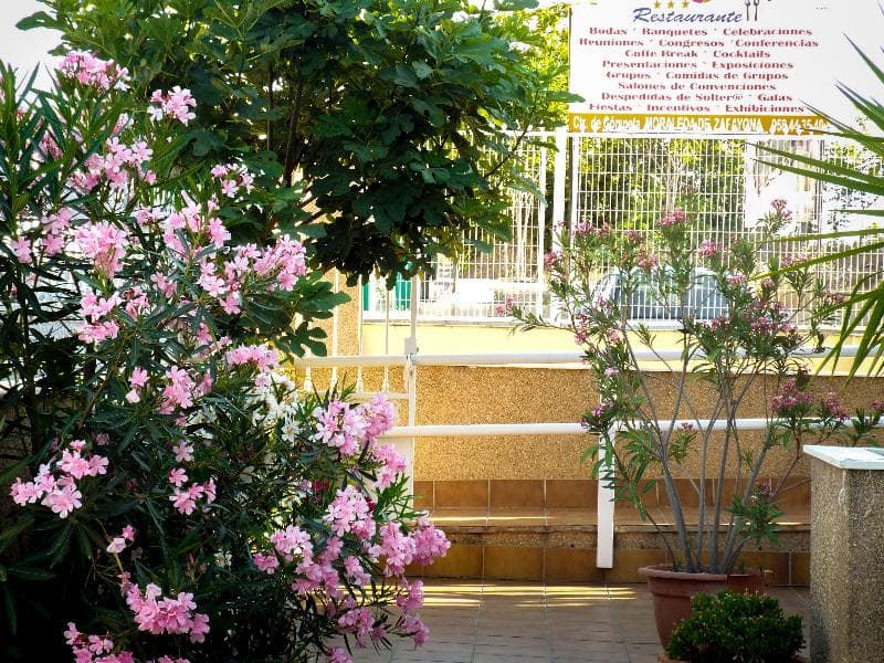Hotel Poniente 5