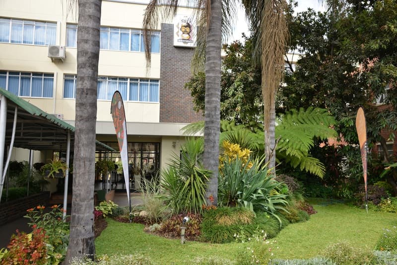 Cresta Oasis 2