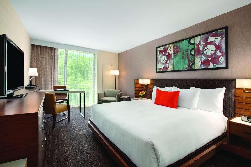 Hyatt Lodge Oak Brook Chicago 5