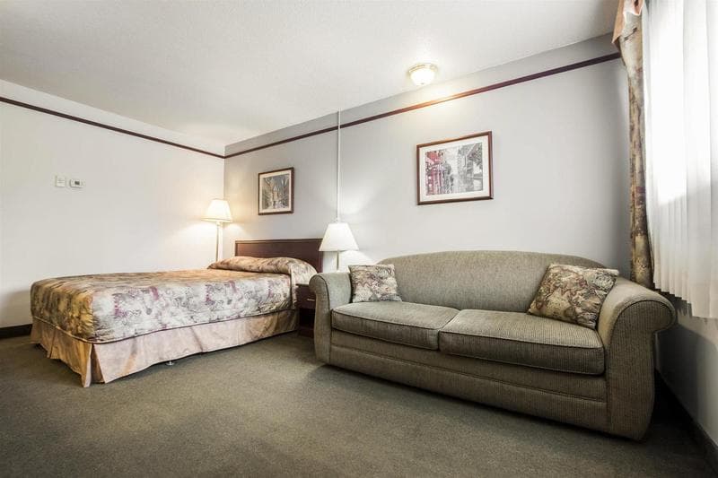 Repotel Levis 3