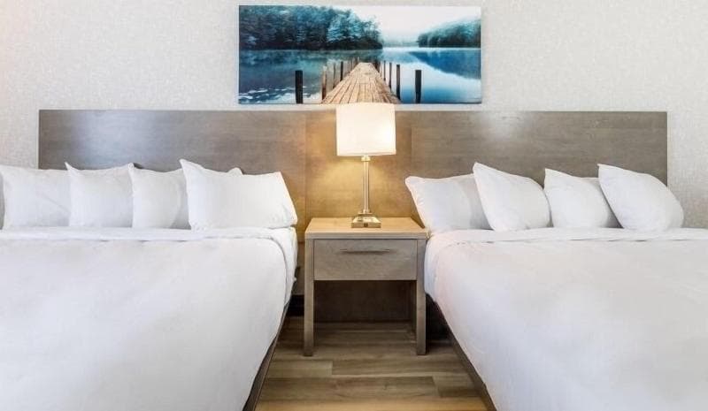 Repotel Levis photo 1