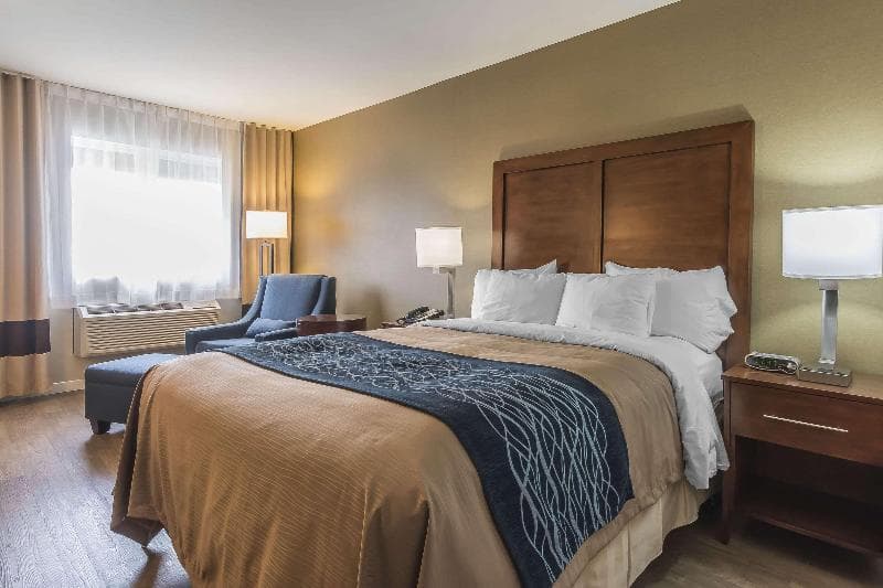 Comfort Inn 5