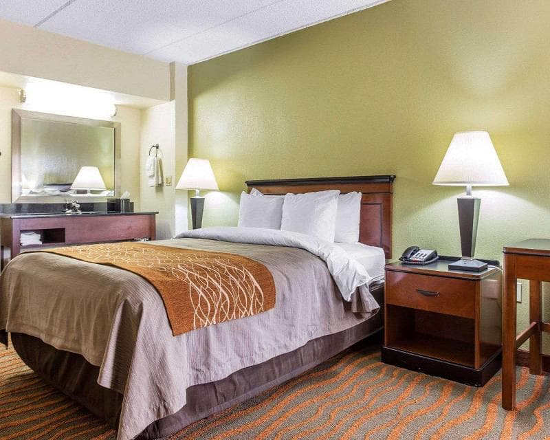 Comfort Inn East Atlanta Area 4