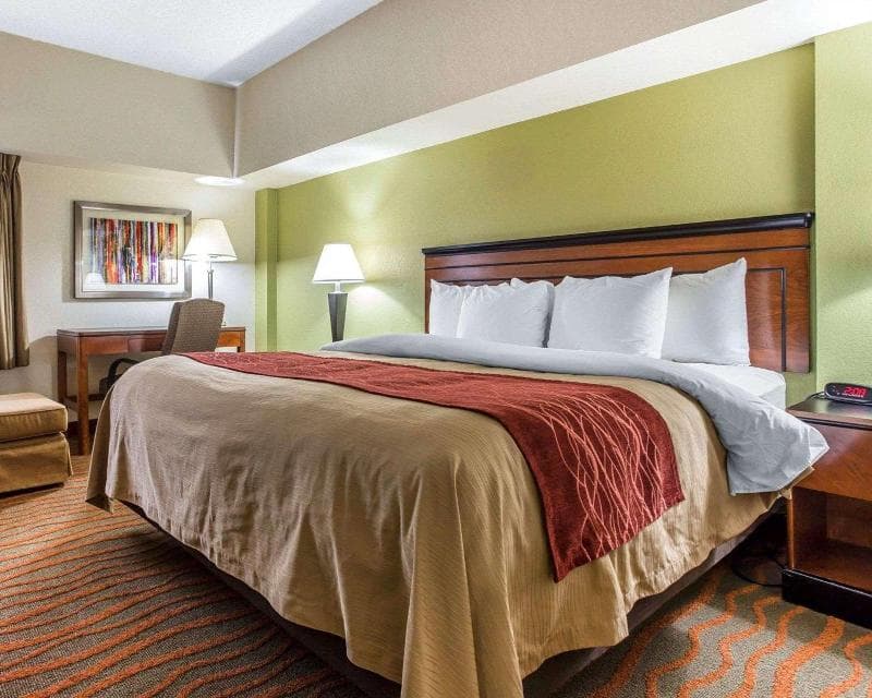 Comfort Inn East Atlanta Area 5
