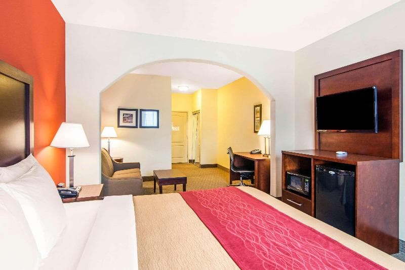 Comfort Inn & Suites 4