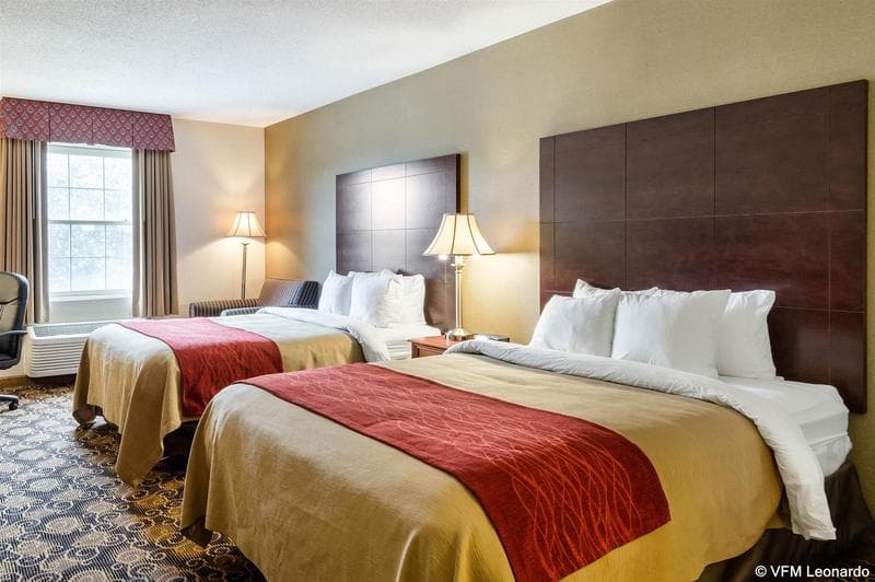 Comfort Inn Auburn-Worcester photo 1