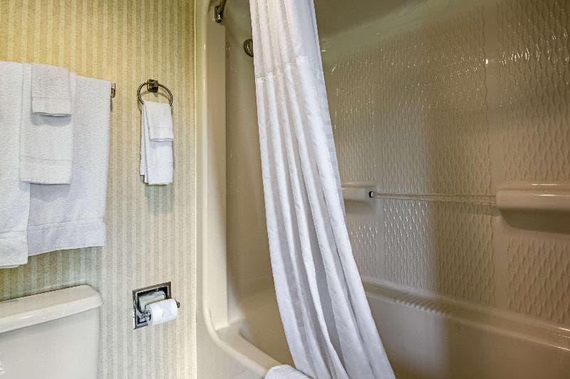 Quality Inn 5