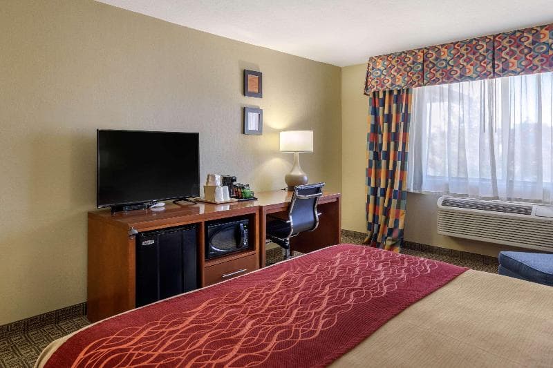 Comfort Inn Near Gila National Forest 3