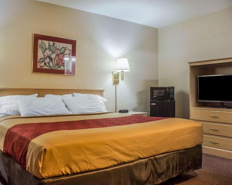 Econo Lodge Dewitt I-90 photo 1