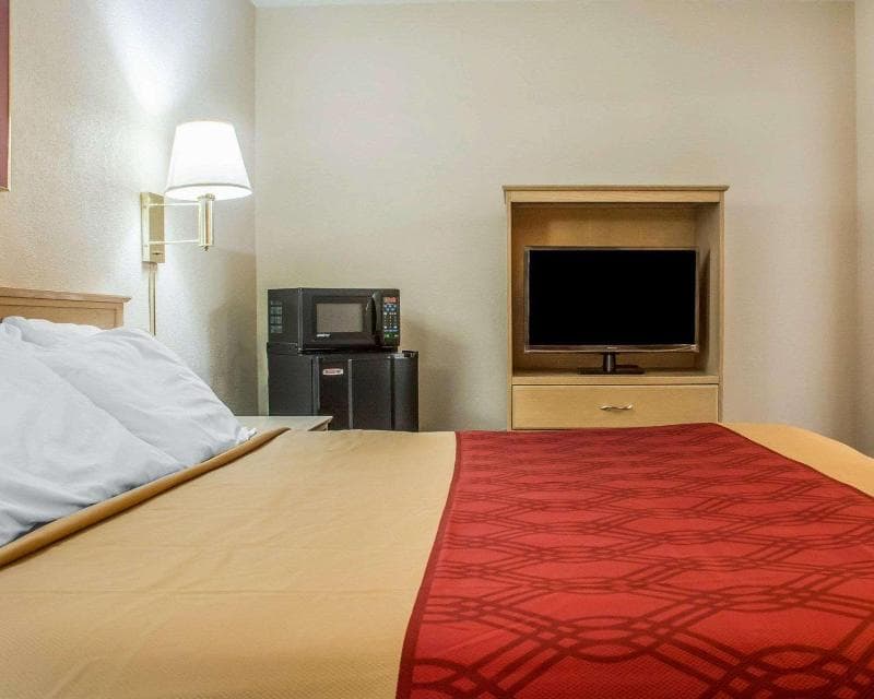 Econo Lodge Dewitt I-90 3