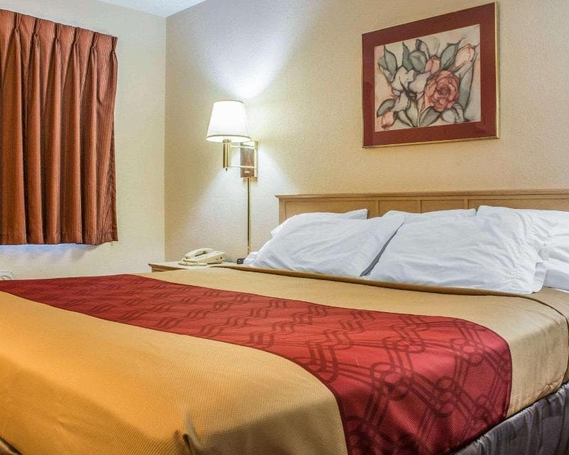 Econo Lodge Dewitt I-90 5