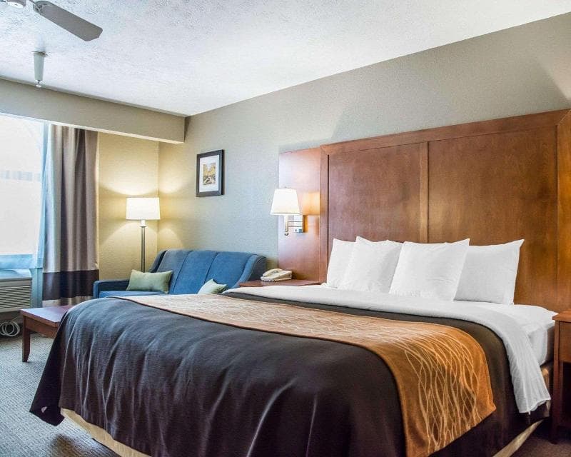 Comfort Inn 5