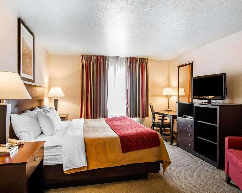 Comfort Inn & Suites Cottage Grove Area 4