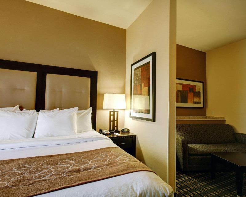 Comfort Suites Buda Austin South 5