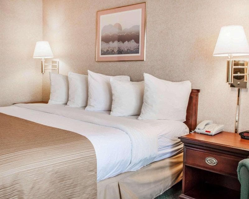 Quality Inn 4