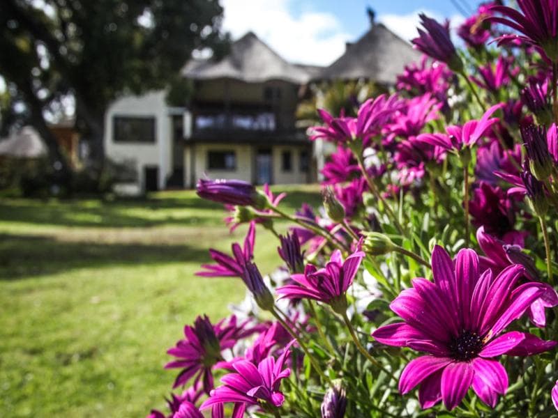 Winelands Villa Guesthouse photo 1