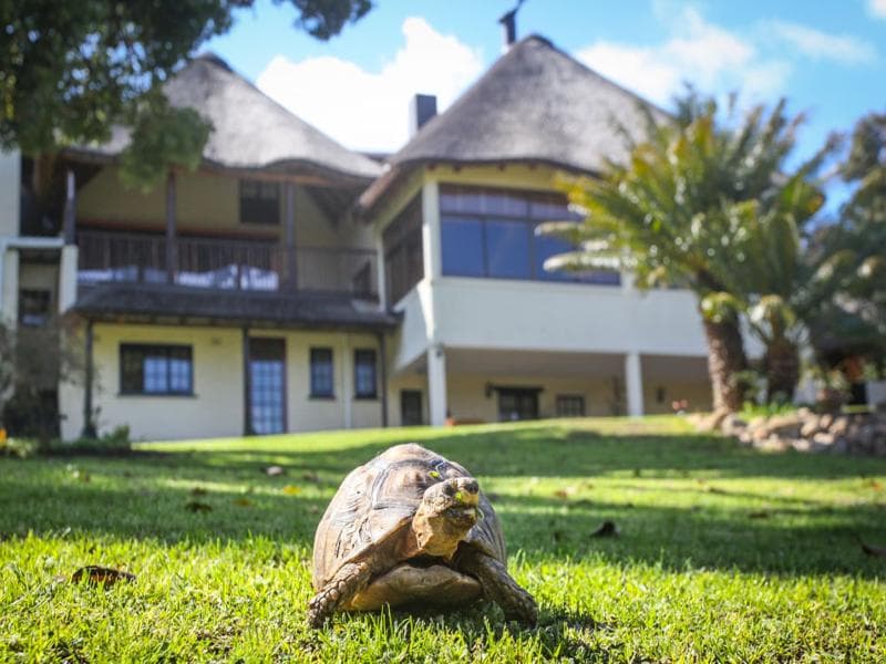 Winelands Villa Guesthouse 5