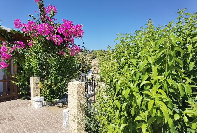 Vlycha Beach Studios & Apartments main