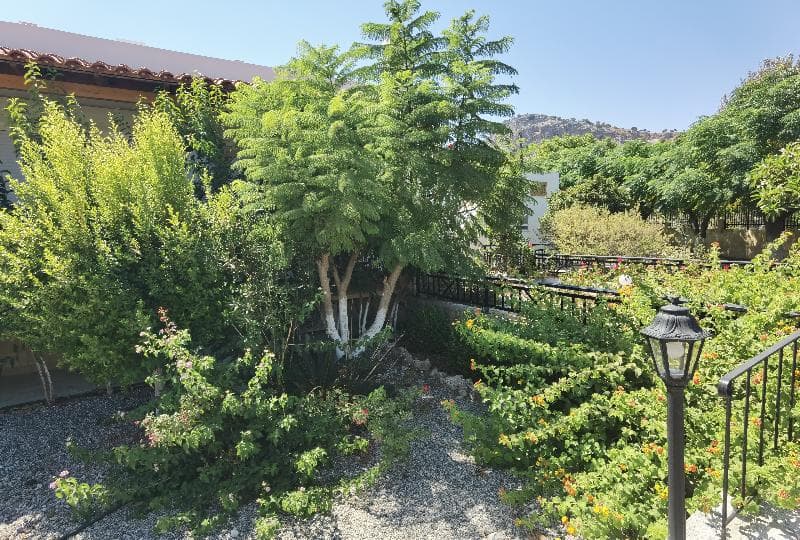 Vlycha Beach Studios & Apartments 3