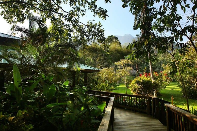 The Lodge At Pico Bonito main